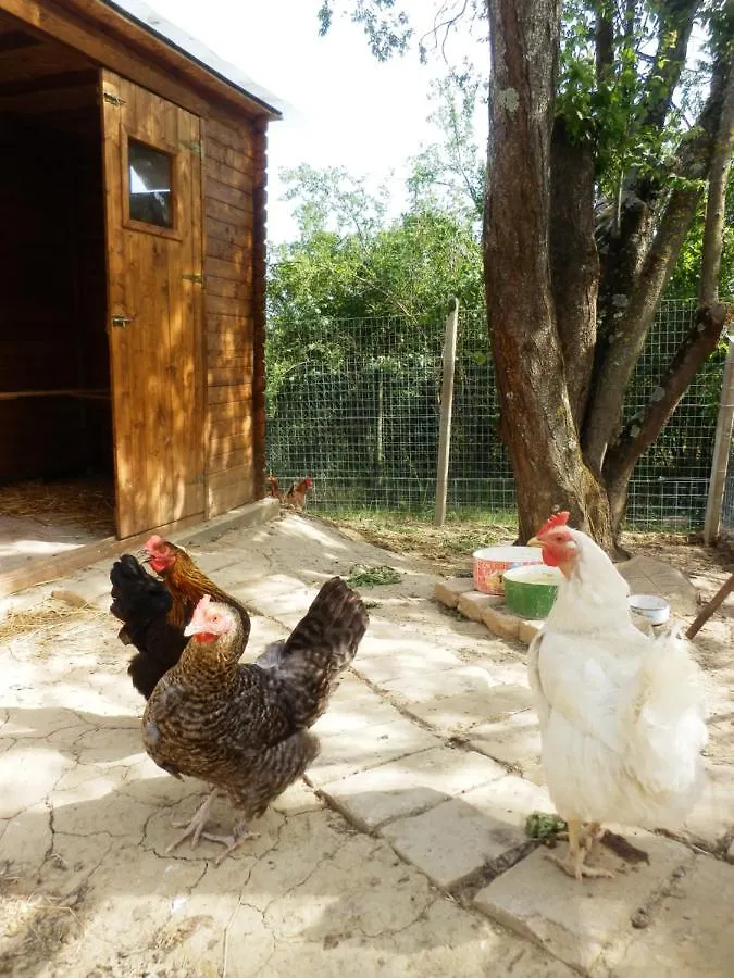 Il casale di Sandra Chiusi Bed & Breakfast