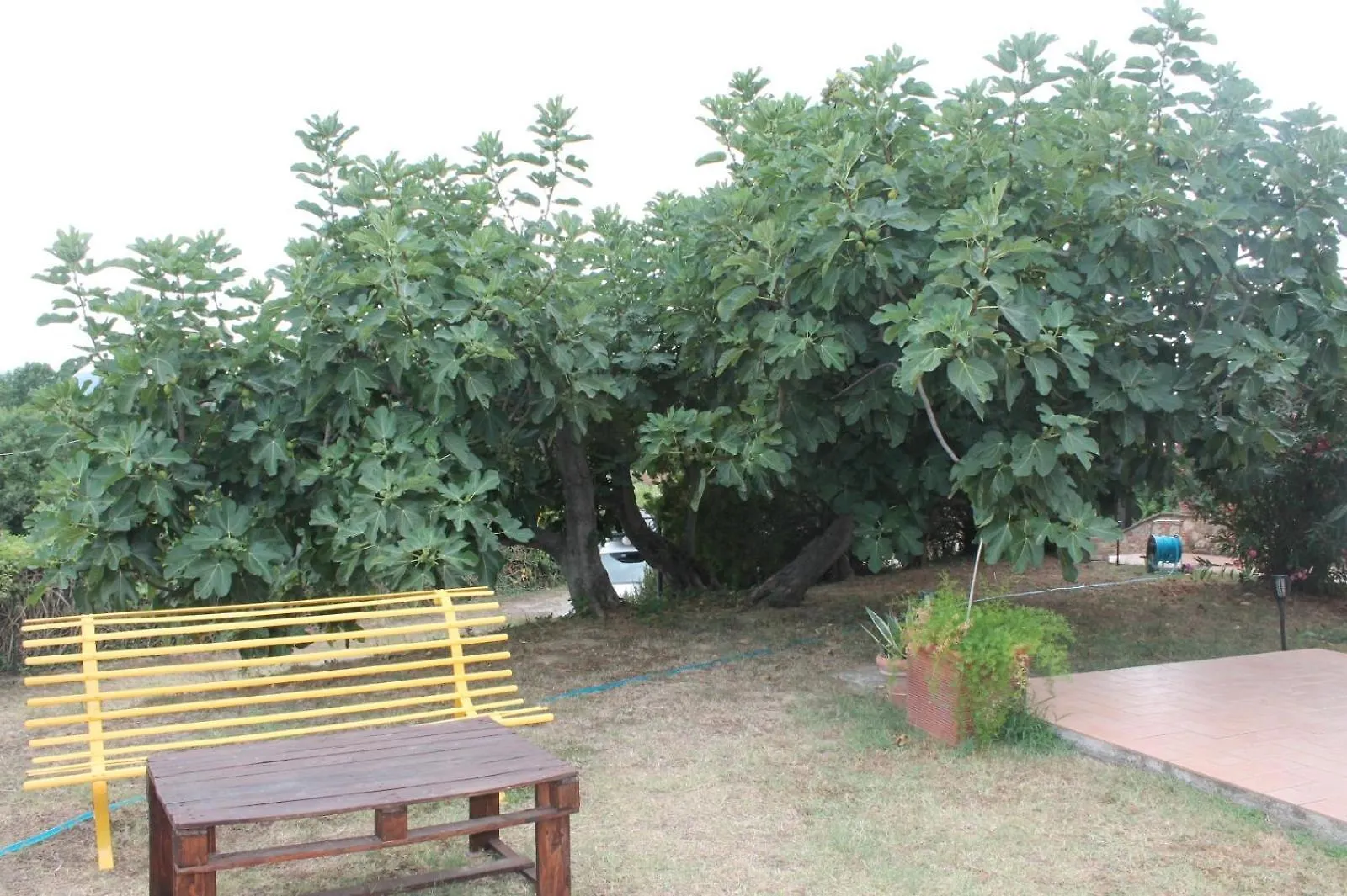 Il casale di Sandra Chiusi 0*,  Italia